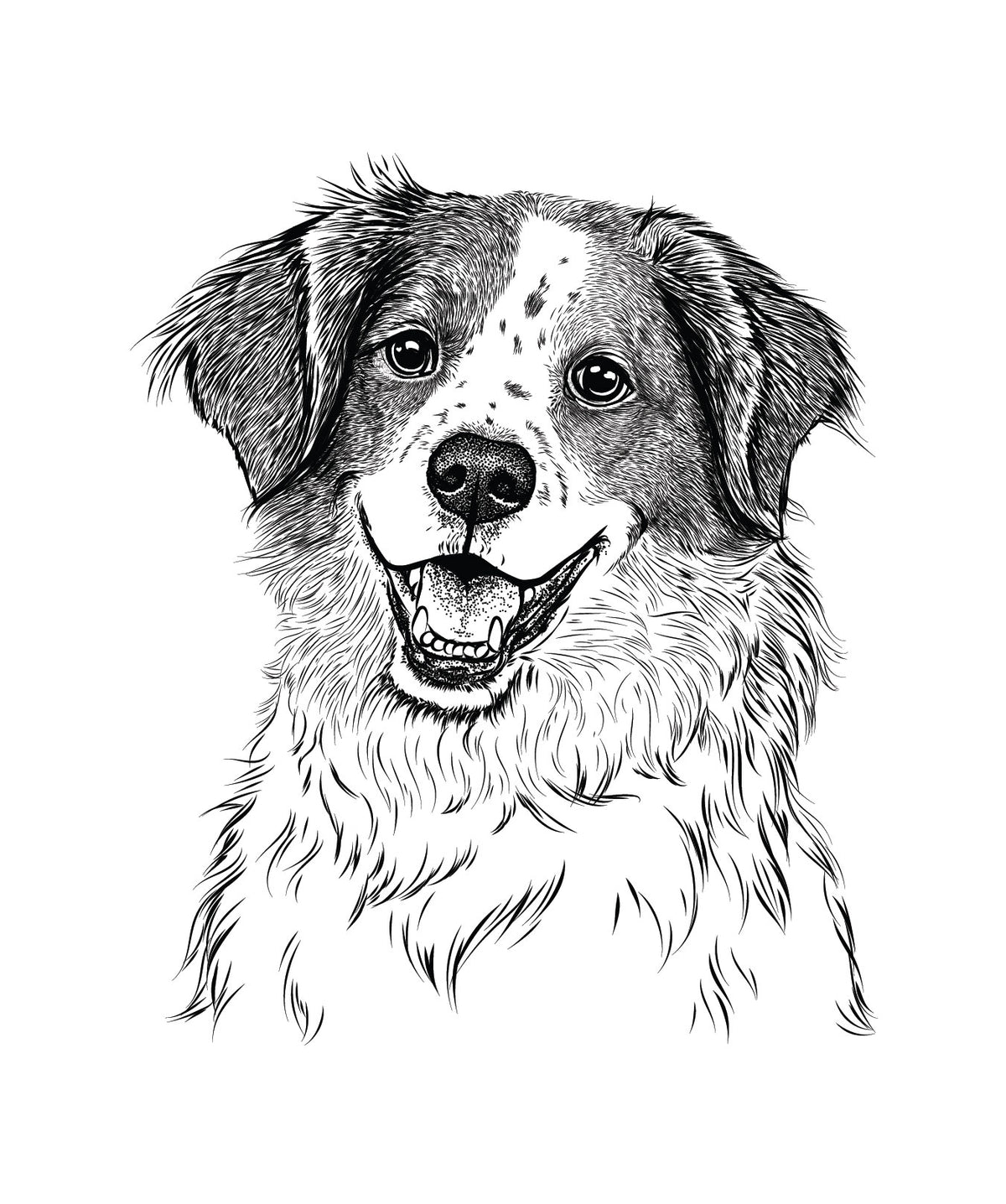 Sophie the Brittany Beagle Mix - Decal Sticker