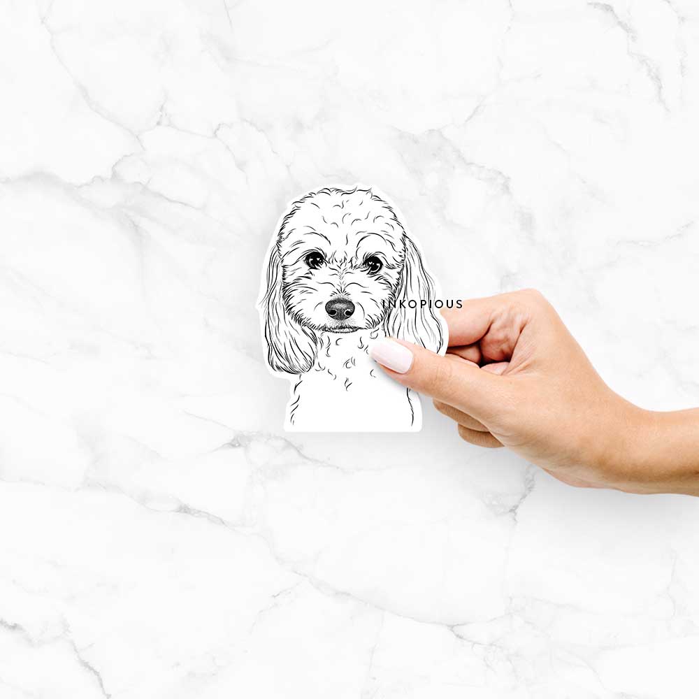 Sophie the Coton de Tulear -  Decal Sticker