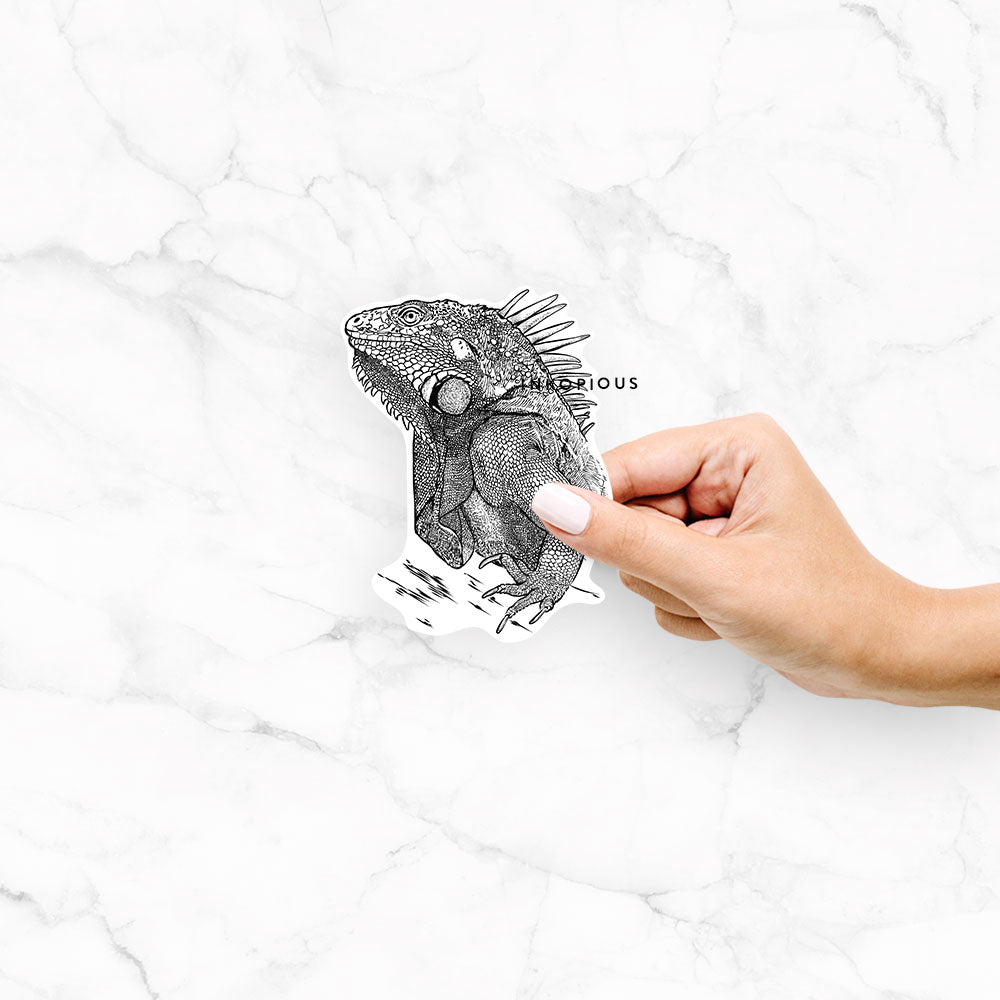 Spike the Iguana - Decal Sticker