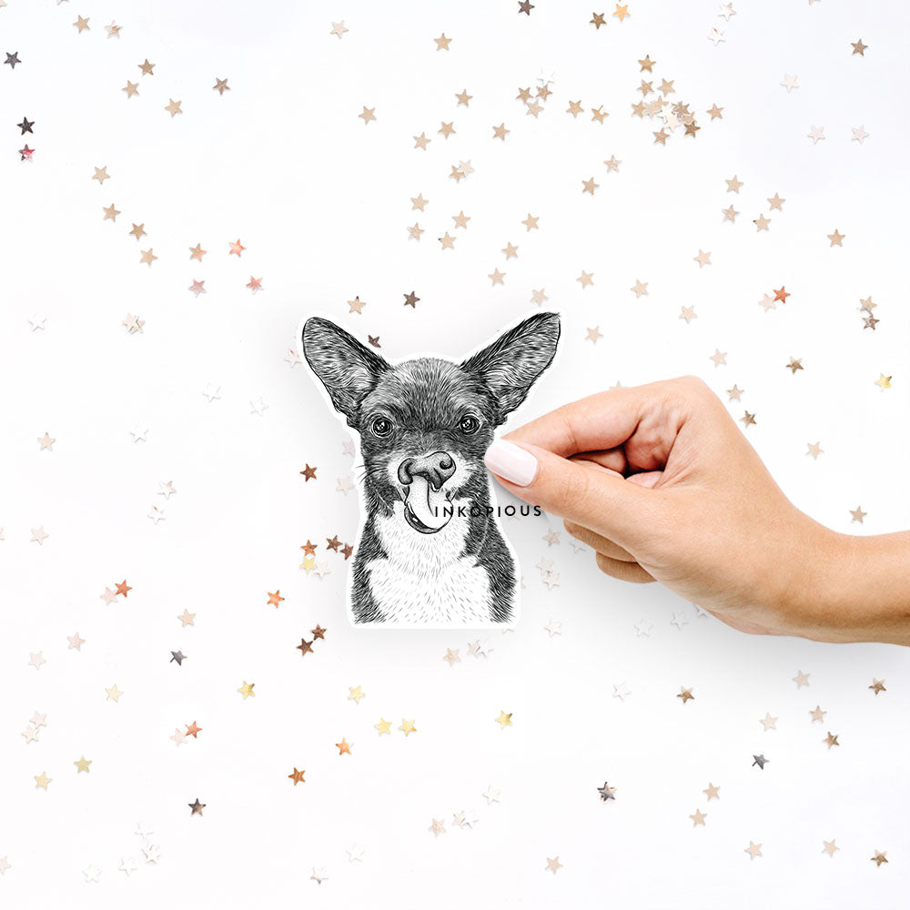 Sprout the Chihuahua Mix - Decal Sticker