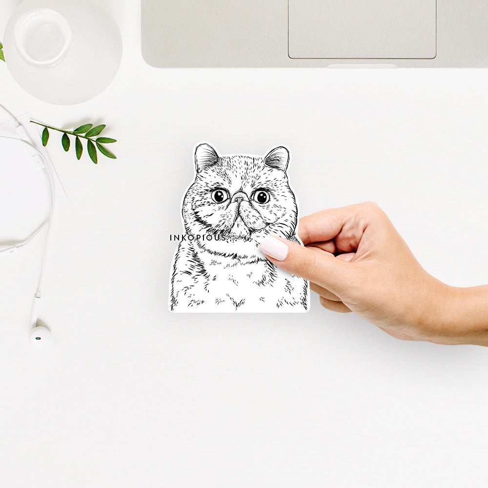 Squish the Exotic Shorthair Cat - Decal Sticker