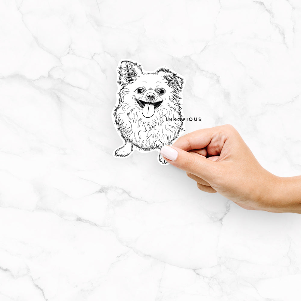 Stuart the Longhaired Chihuahua - Decal Sticker