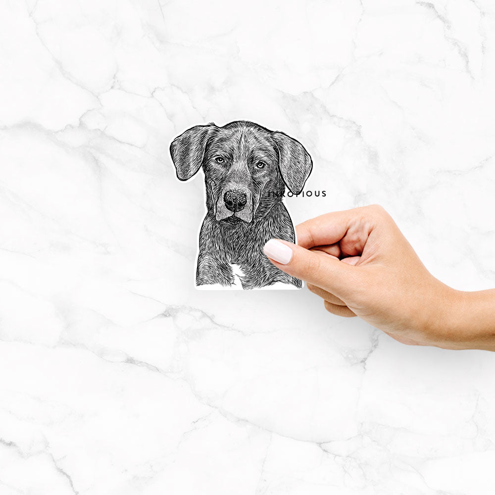 Tom the Lab Dane Mix - Decal Sticker