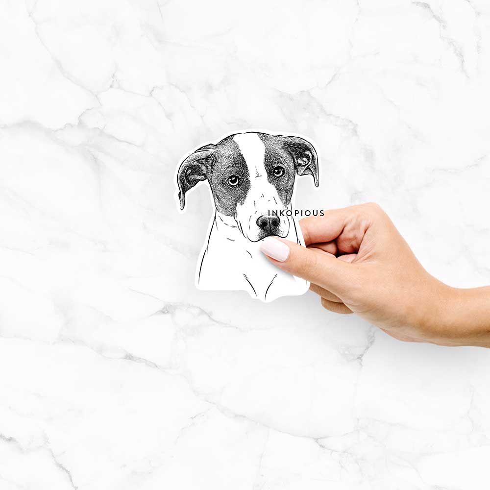 Zephyr the Pointer Mix - Decal Sticker