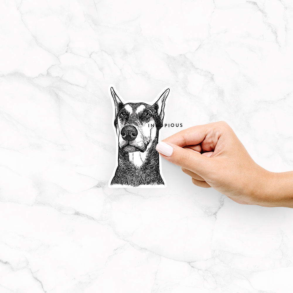 Zeus the Doberman Pinscher - Decal Sticker
