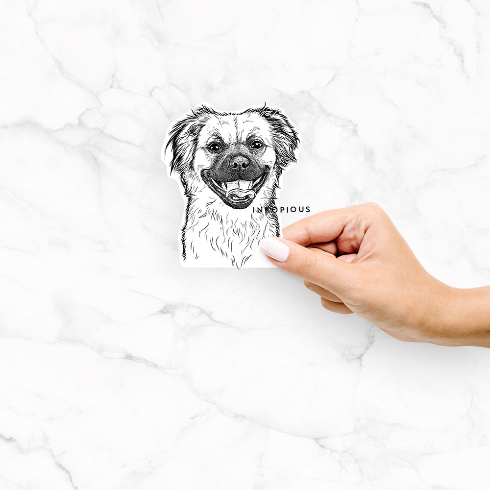Zuri the Spaniel Mix - Decal Sticker