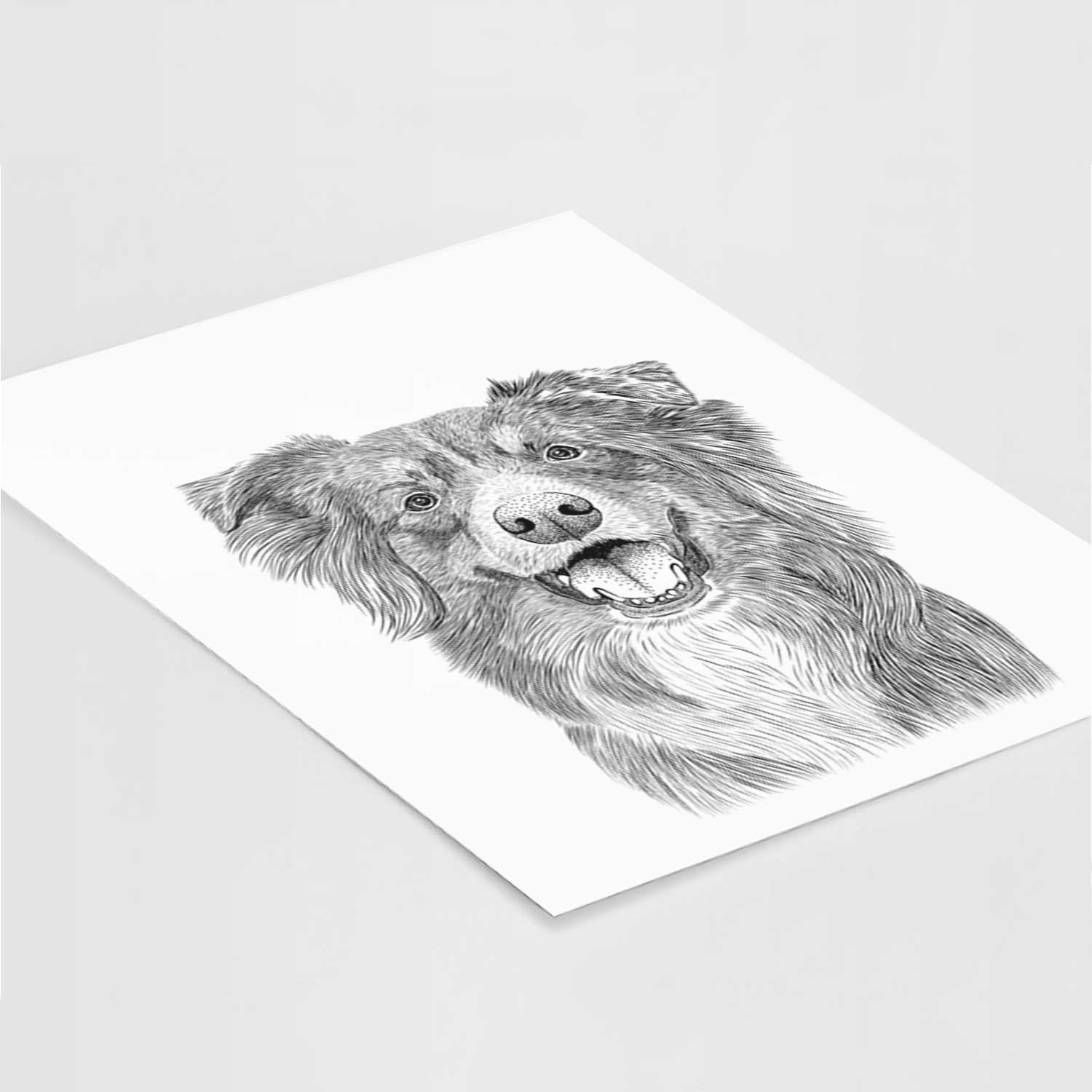 Aussie Parker the Australian Shepherd Art Print