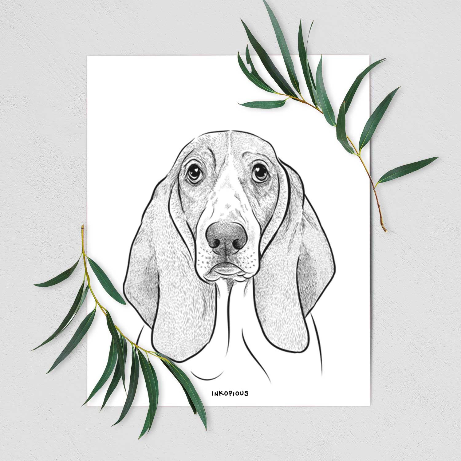 Addison the Basset Hound Art Print