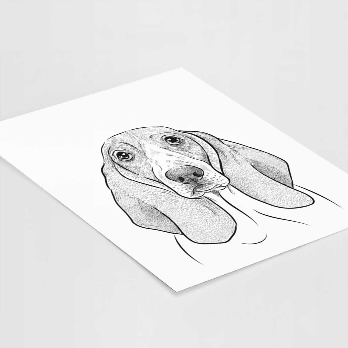 Addison the Basset Hound Art Print