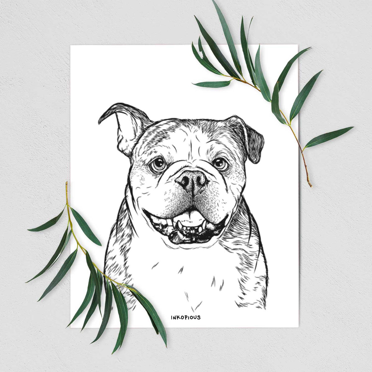 Agatha the Boston Bulldog Art Print