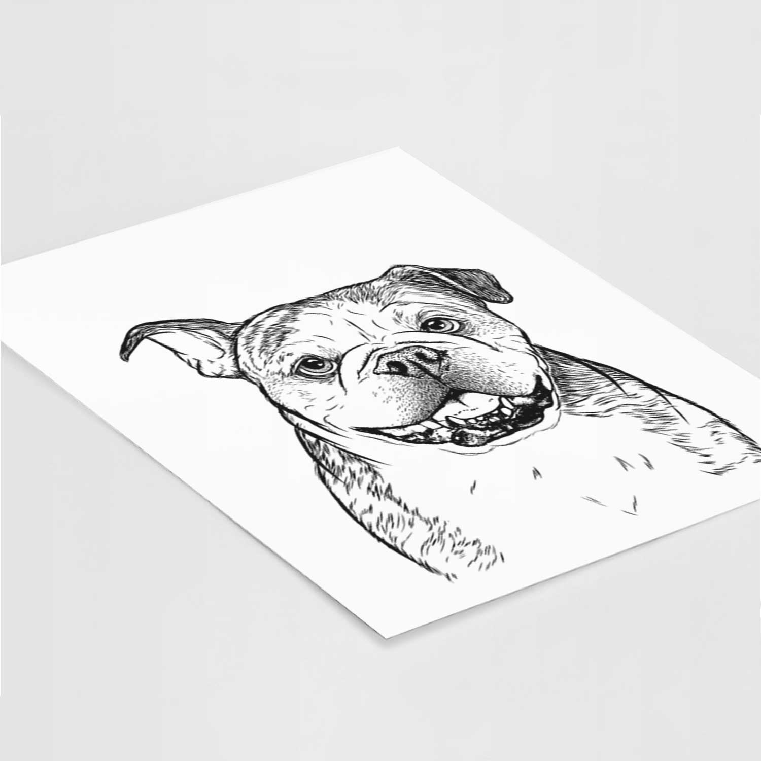 Agatha the Boston Bulldog Art Print