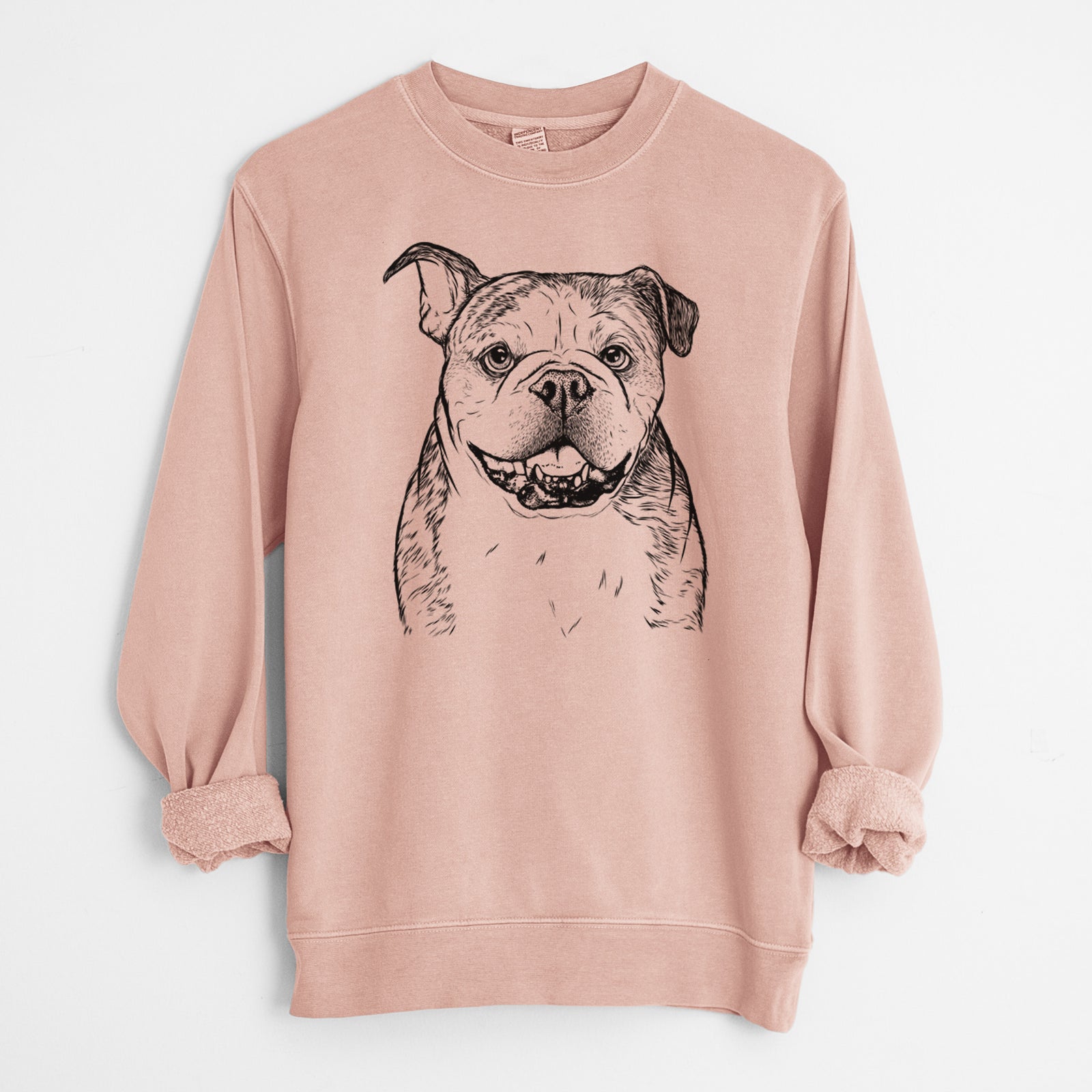 Bare Agatha the Boston Bulldog - Unisex Pigment Dyed Crew Sweatshirt