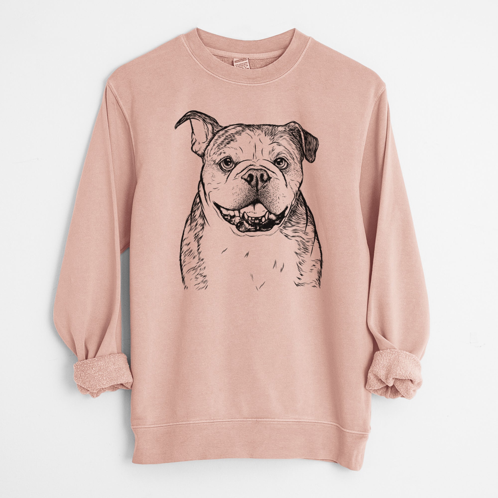 Bare Agatha the Boston Bulldog - Unisex Pigment Dyed Crew Sweatshirt