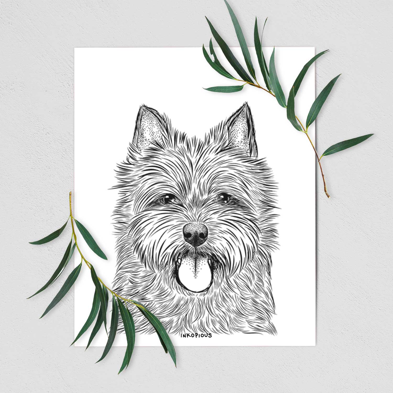 Alfie the Norwich Terrier Art Print