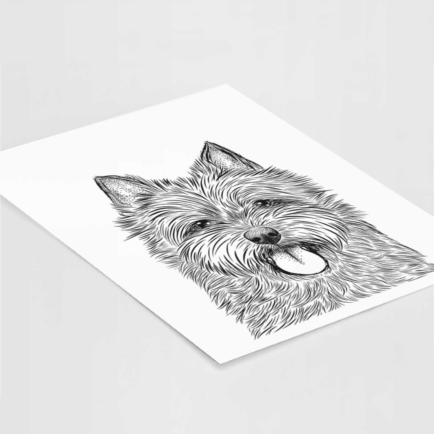 Alfie the Norwich Terrier Art Print