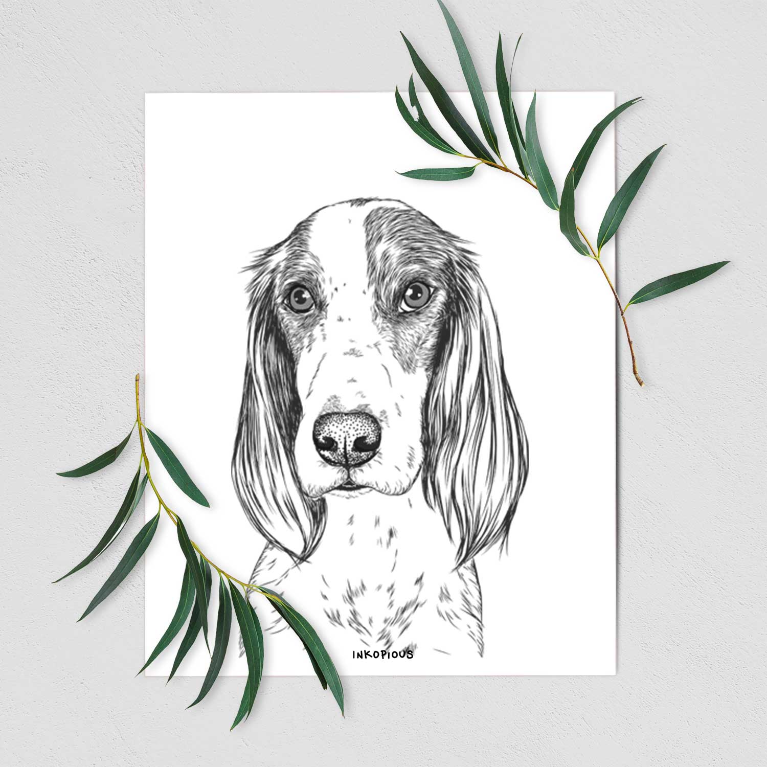 Aline the Irish Red and White Setter Art Print