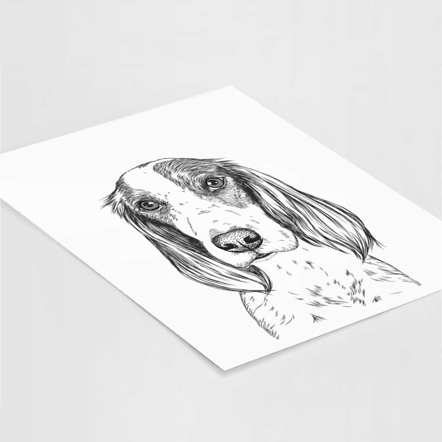 Aline the Irish Red and White Setter Art Print