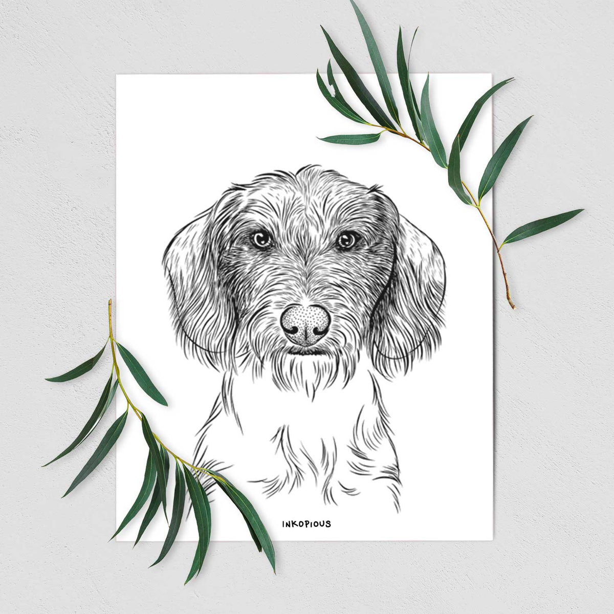 Almond the Wirehaired Dachshund Art Print
