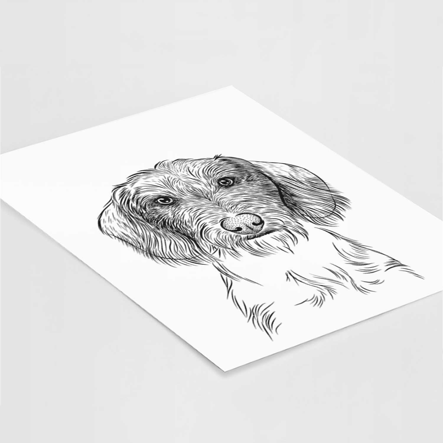 Almond the Wirehaired Dachshund Art Print