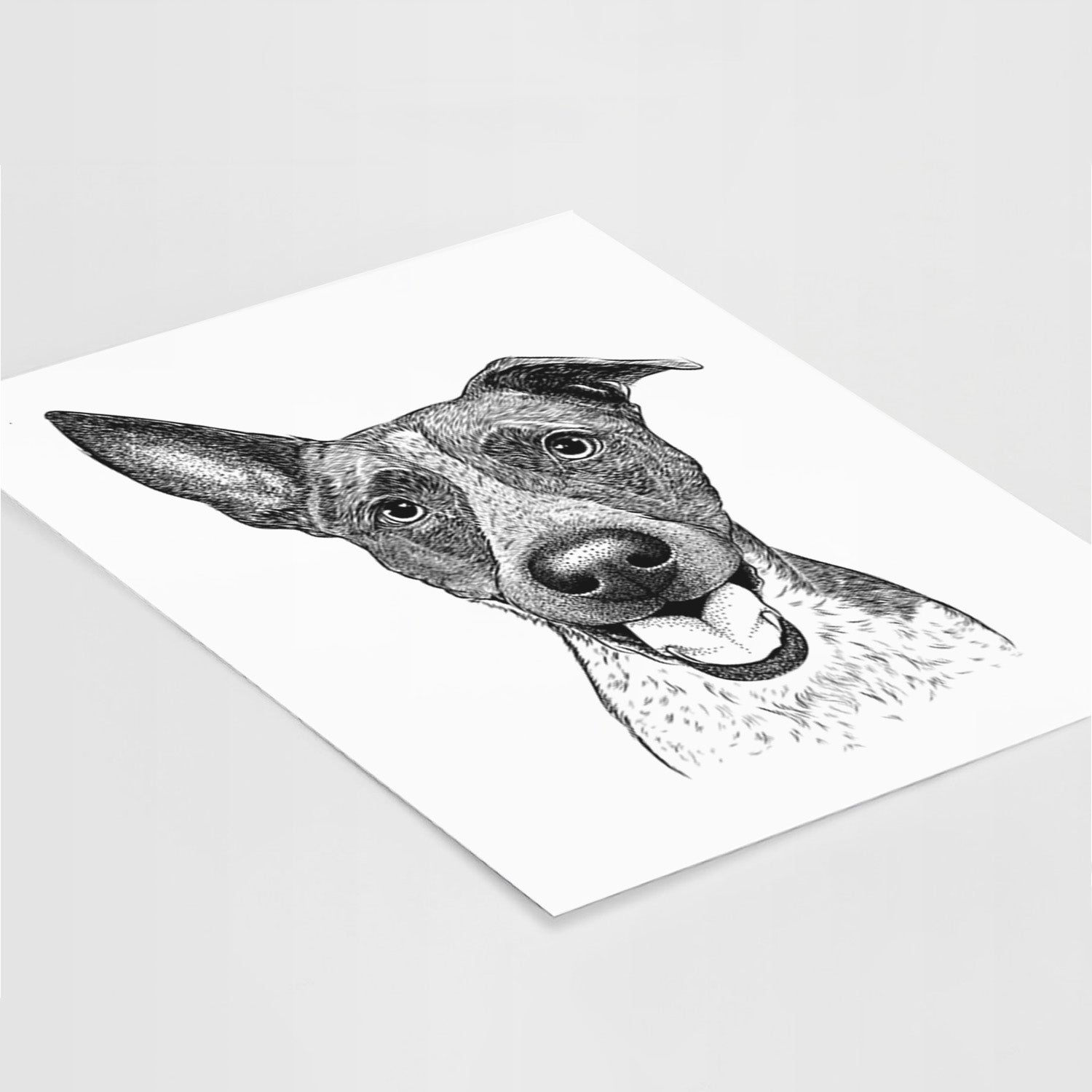 Amigo the Heeler Mix Art Print