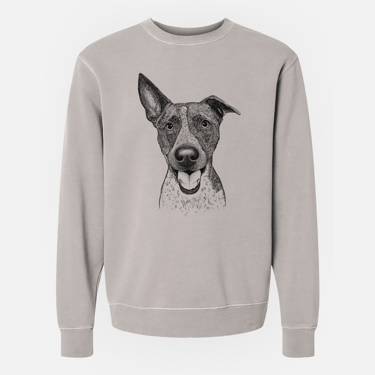 Bare Amigo the Heeler Mix - Unisex Pigment Dyed Crew Sweatshirt