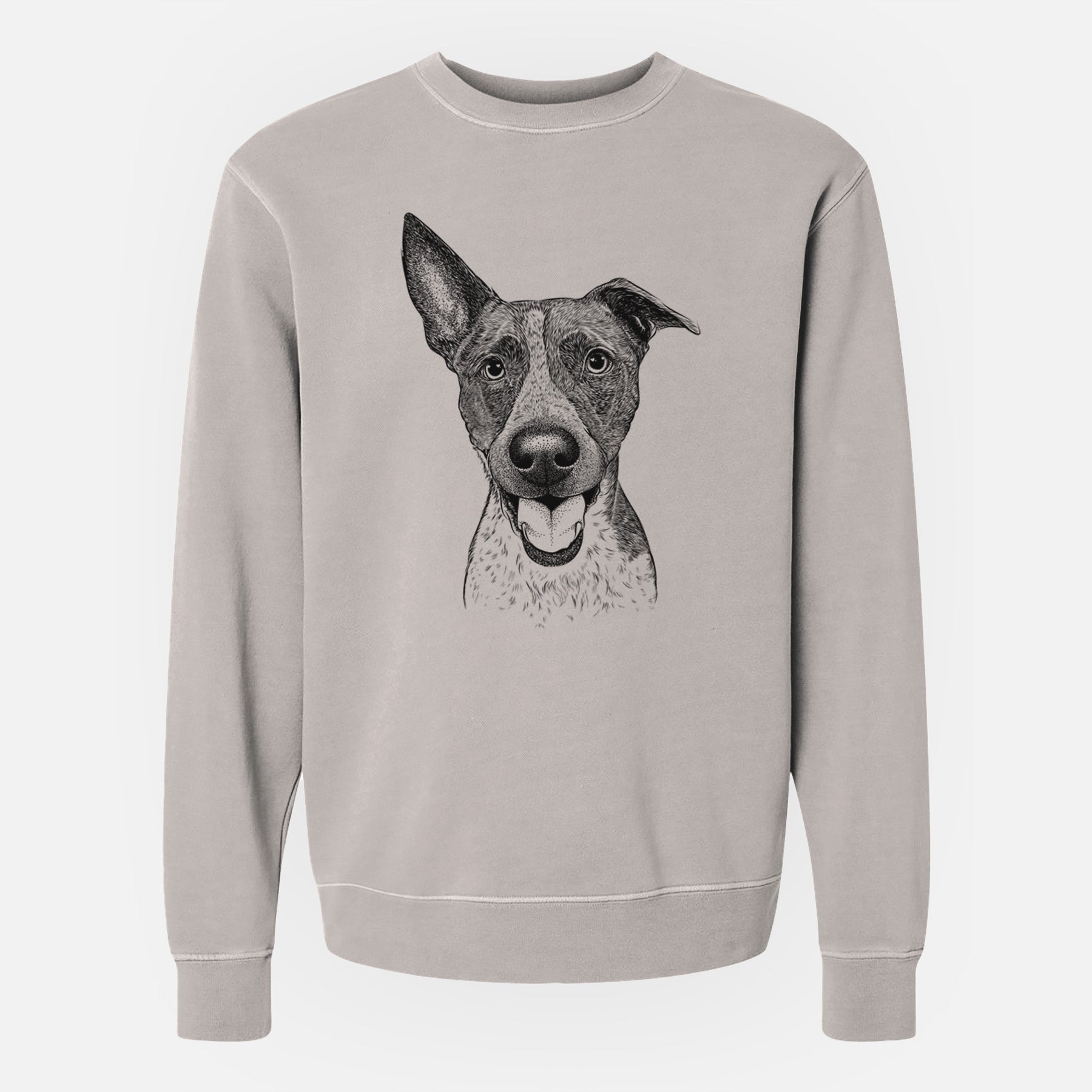 Bare Amigo the Heeler Mix - Unisex Pigment Dyed Crew Sweatshirt