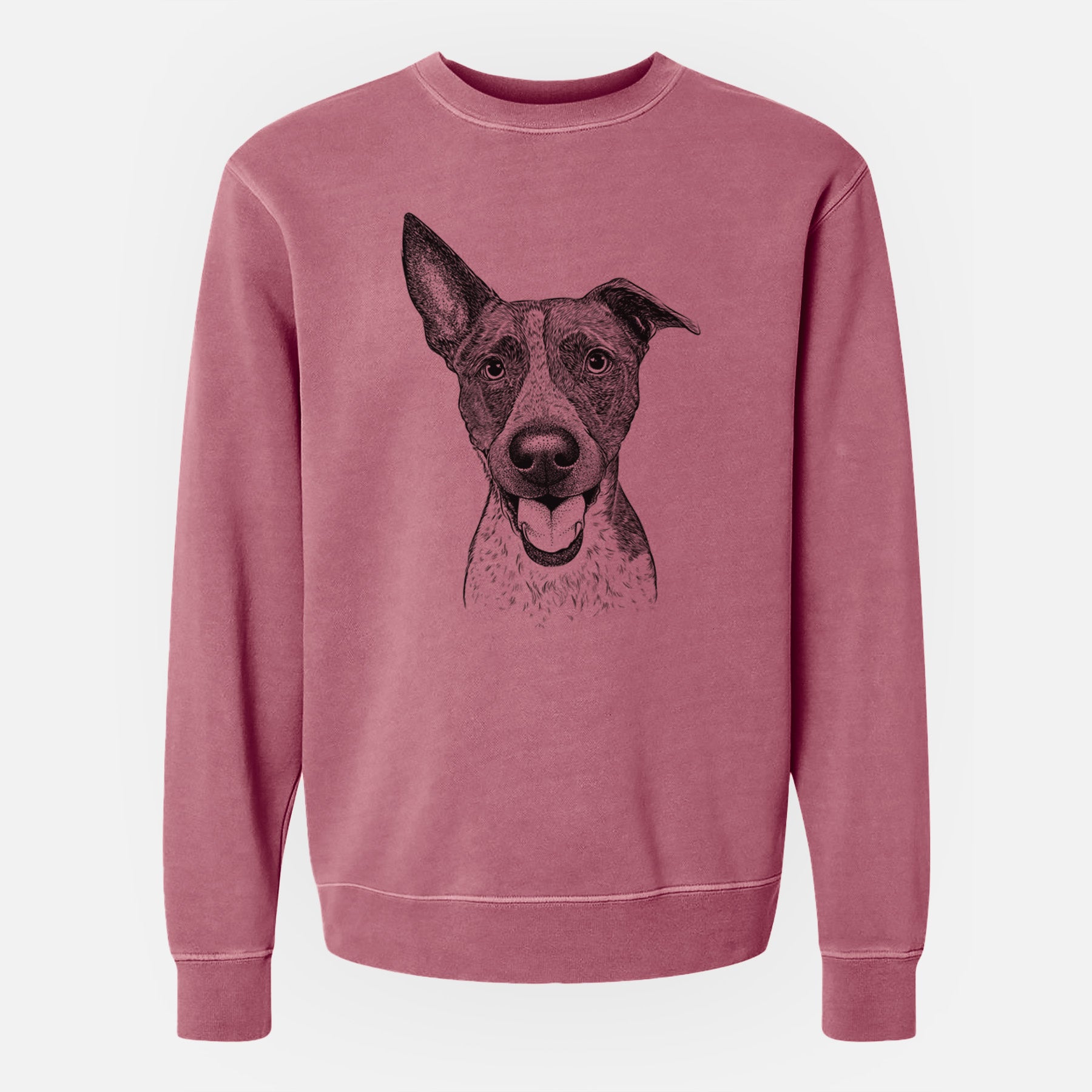 Bare Amigo the Heeler Mix - Unisex Pigment Dyed Crew Sweatshirt