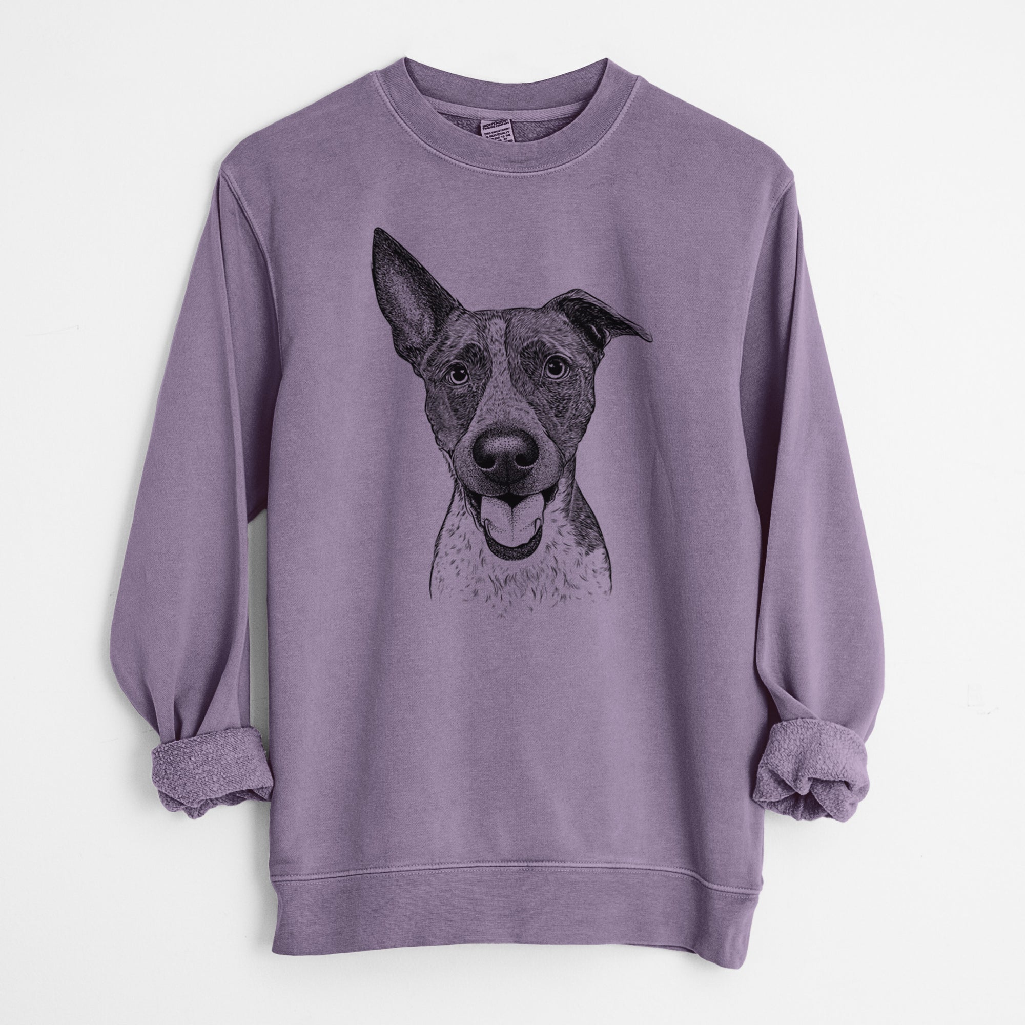 Bare Amigo the Heeler Mix - Unisex Pigment Dyed Crew Sweatshirt