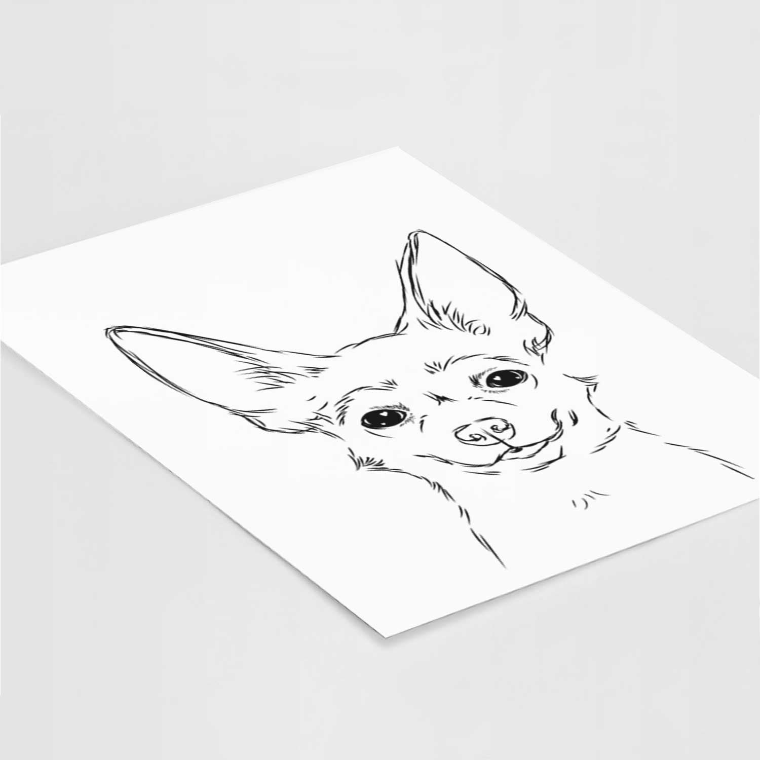 Amos the Chihuahua Art Print