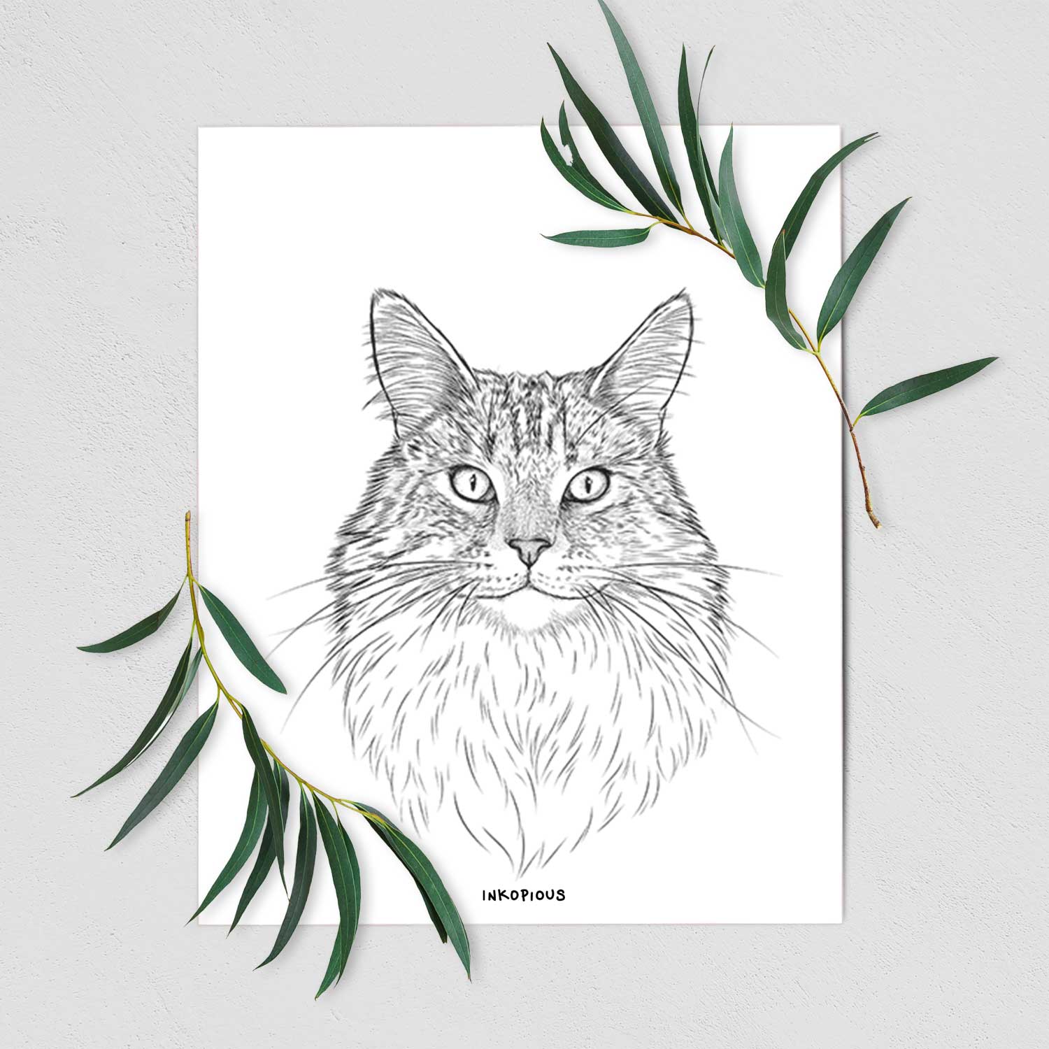 Angel the Maine Coon Cat Art Print