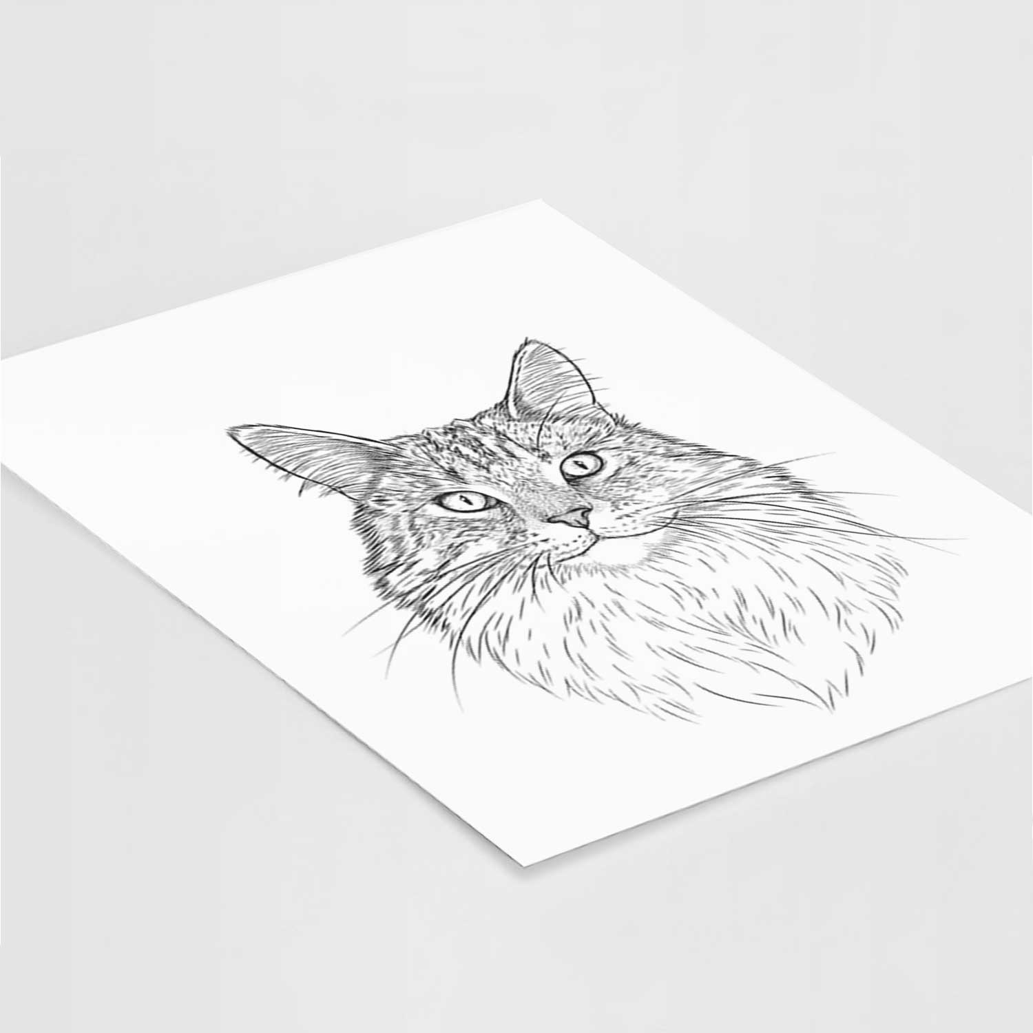 Angel the Maine Coon Cat Art Print