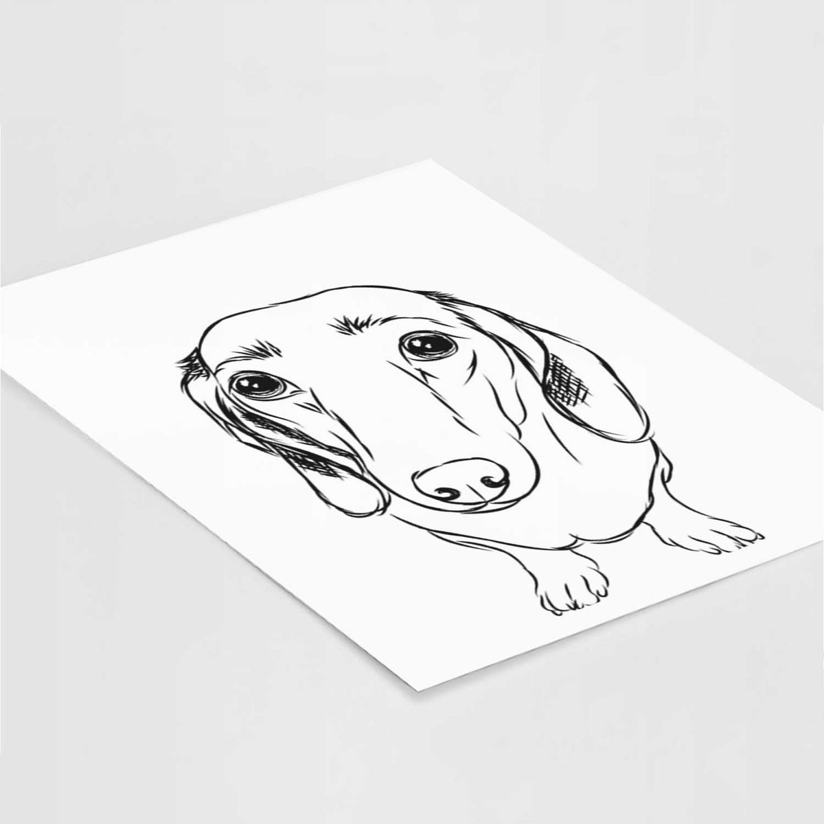 Annabelle the Dachshund Art Print