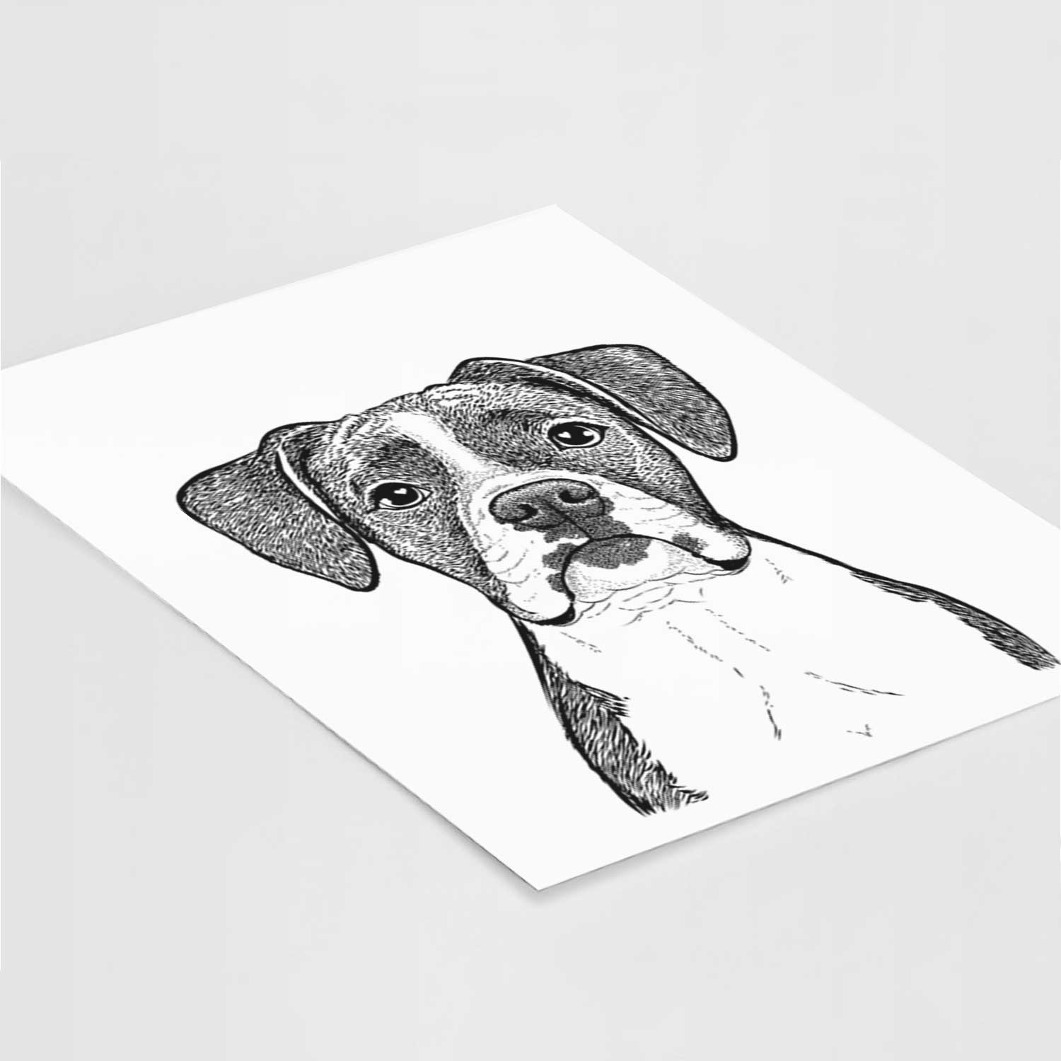 Annie the Boxer Art Print