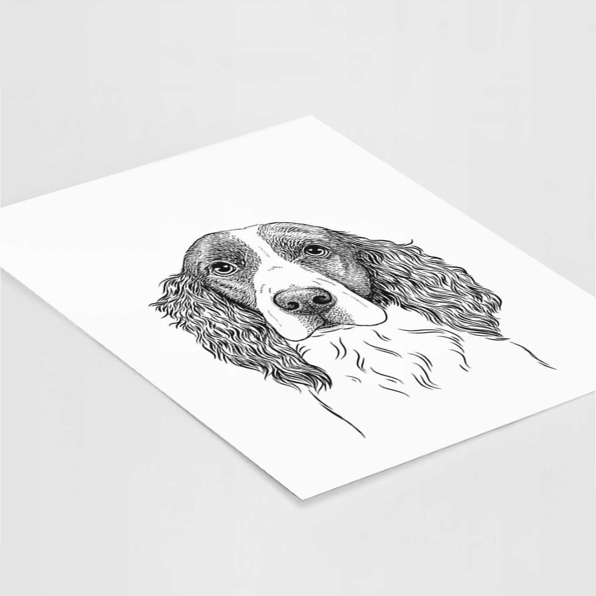 Annie the English Springer Spaniel Art Print