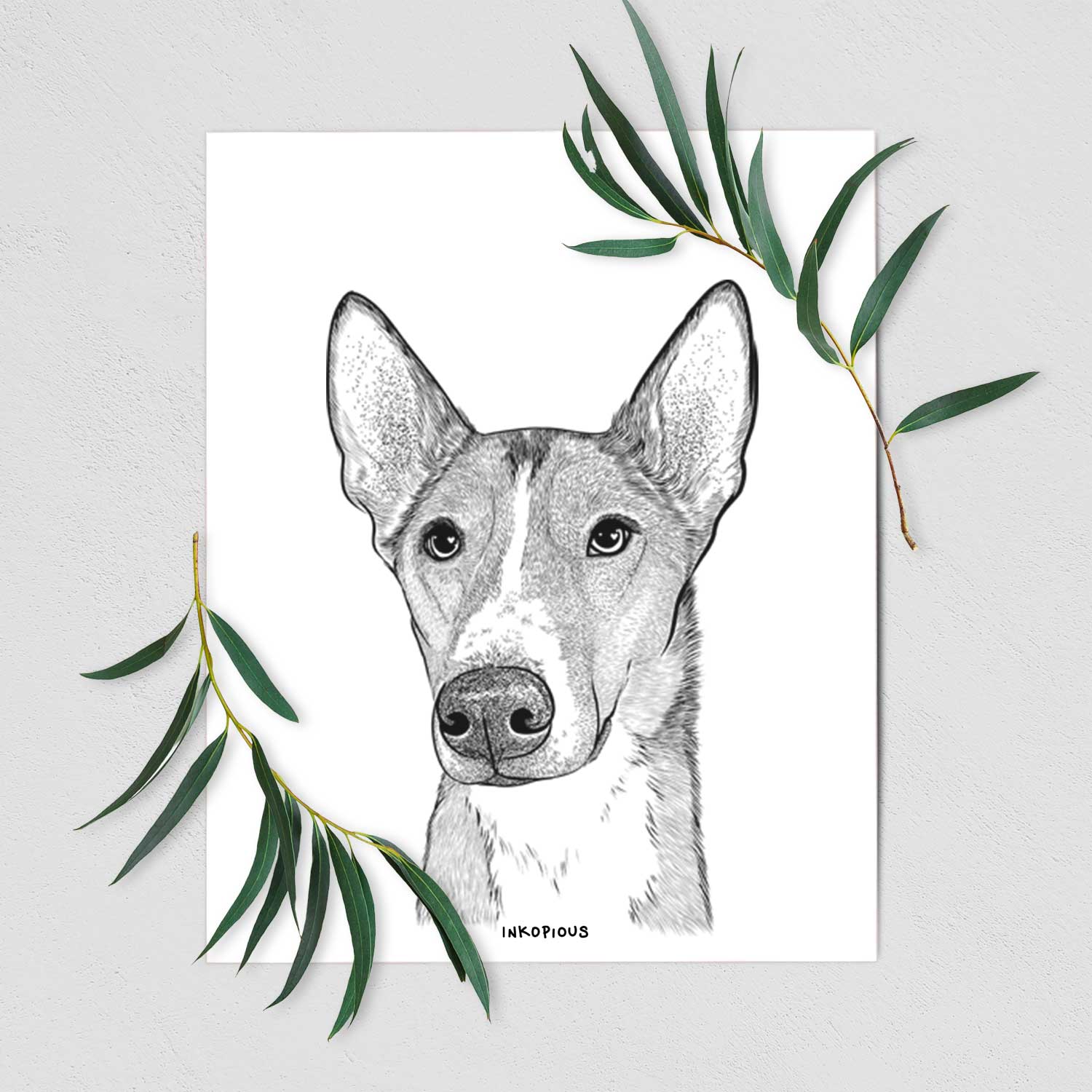 Anubis the Alaskan Husky Art Print