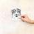 Aonghus the Australian Shepherd - Decal Sticker