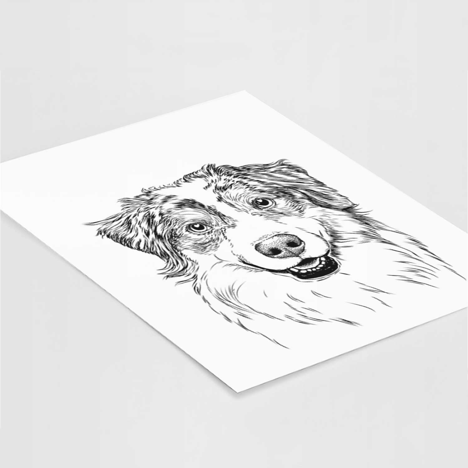 Aonghus the Australian Shepherd Art Print