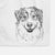 Aonghus the Australian Shepherd Decorative Hand Towel