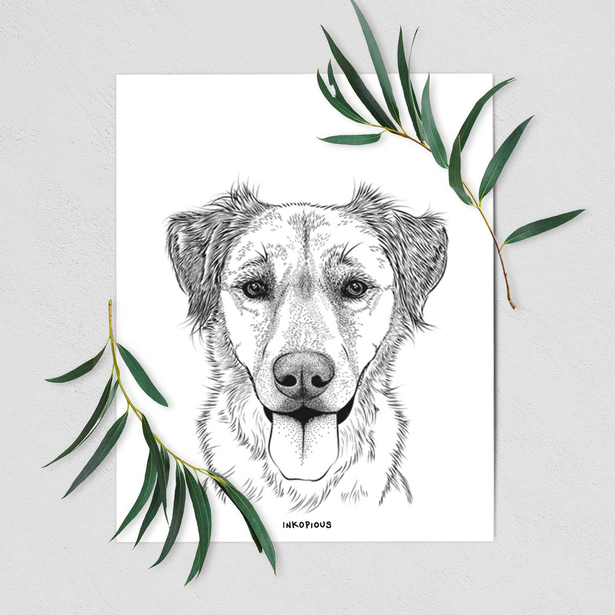Apollo the Mixed Breed Art Print