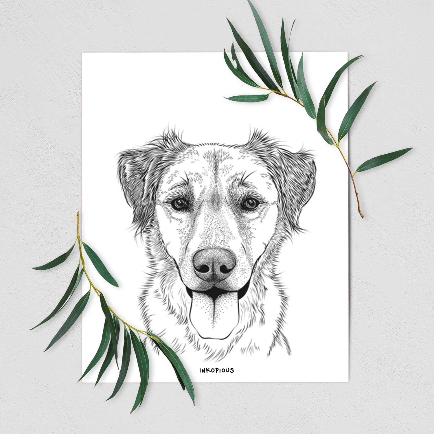Apollo the Mixed Breed Art Print