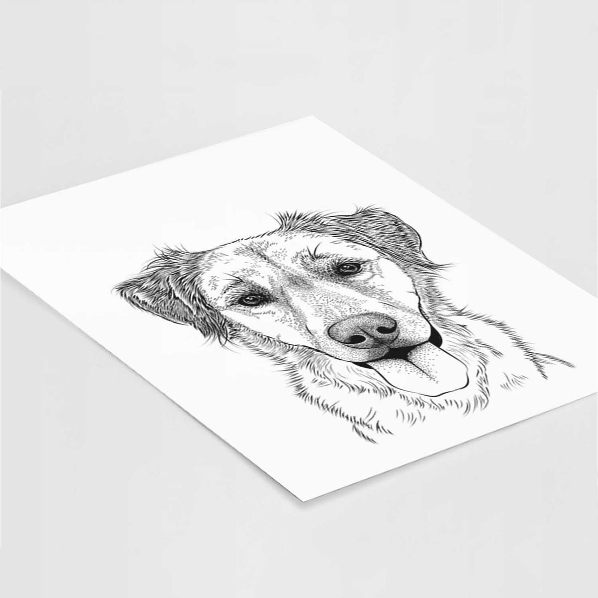 Apollo the Mixed Breed Art Print