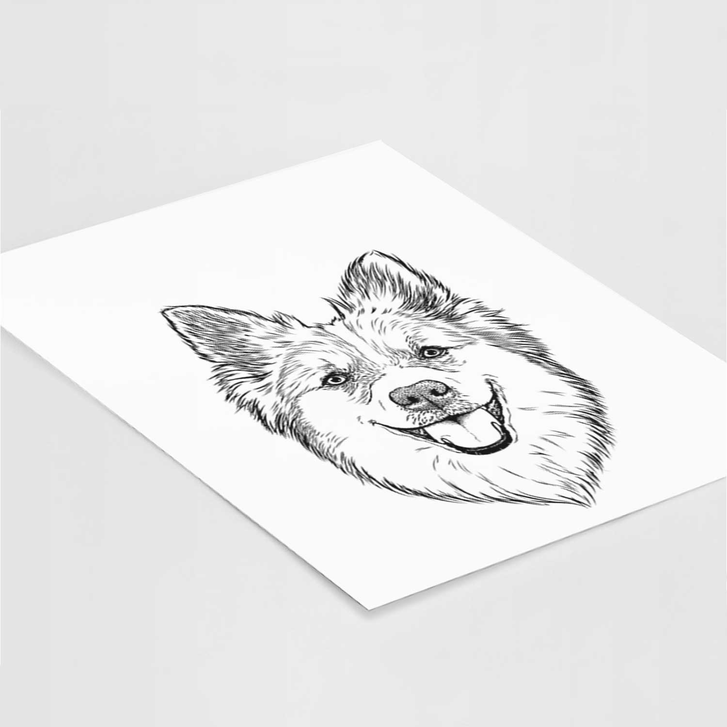 Ari the Icelandic Sheepdog Art Print