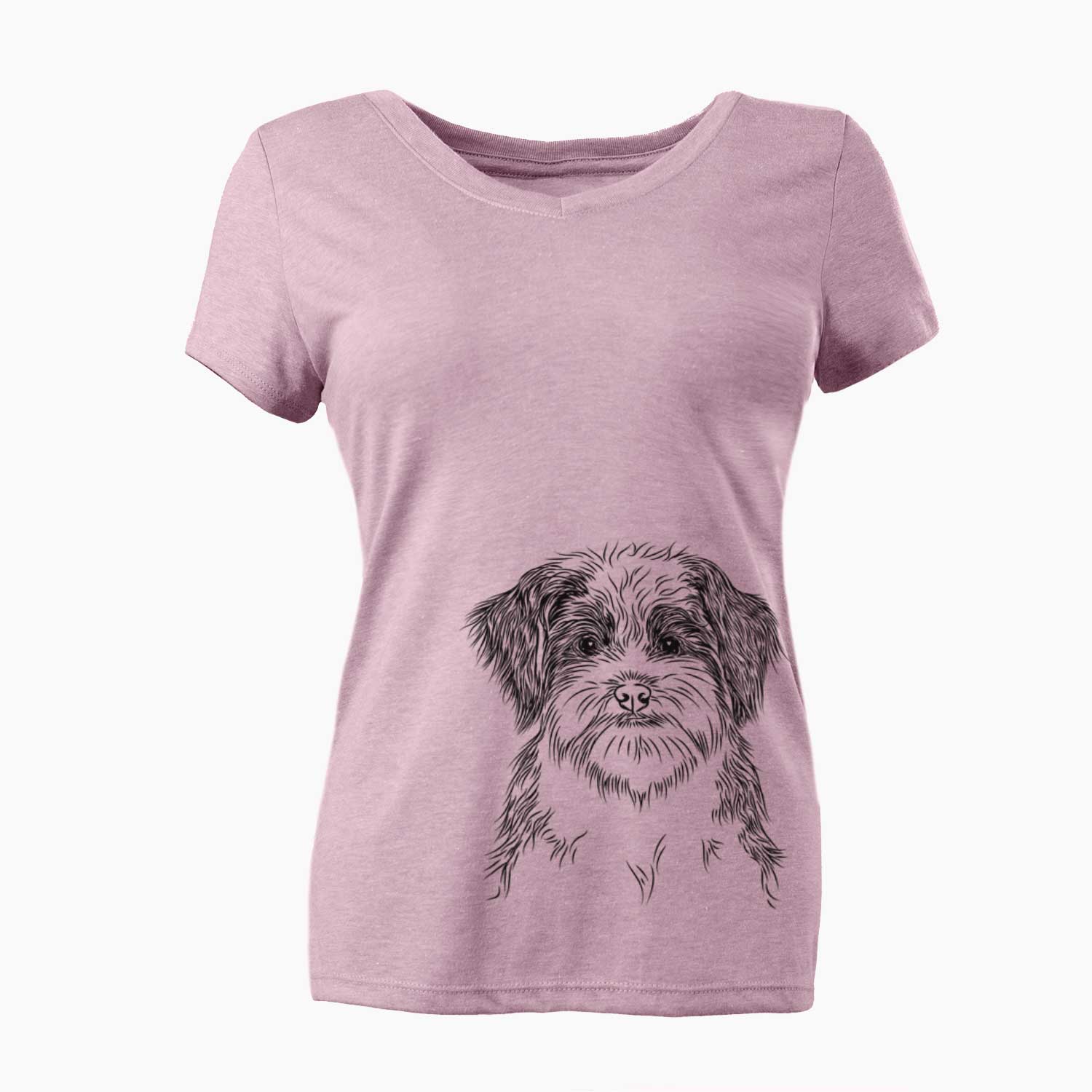 Bare Asa the Havanese - Women's V-neck Shirt