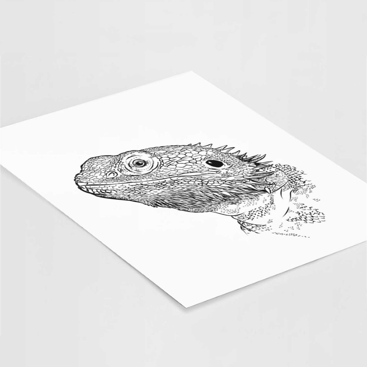 Ash the Bearded Dragon Art Print