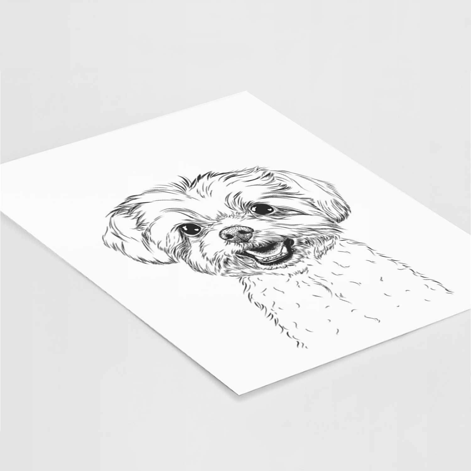 Aspen the Morkie Art Print
