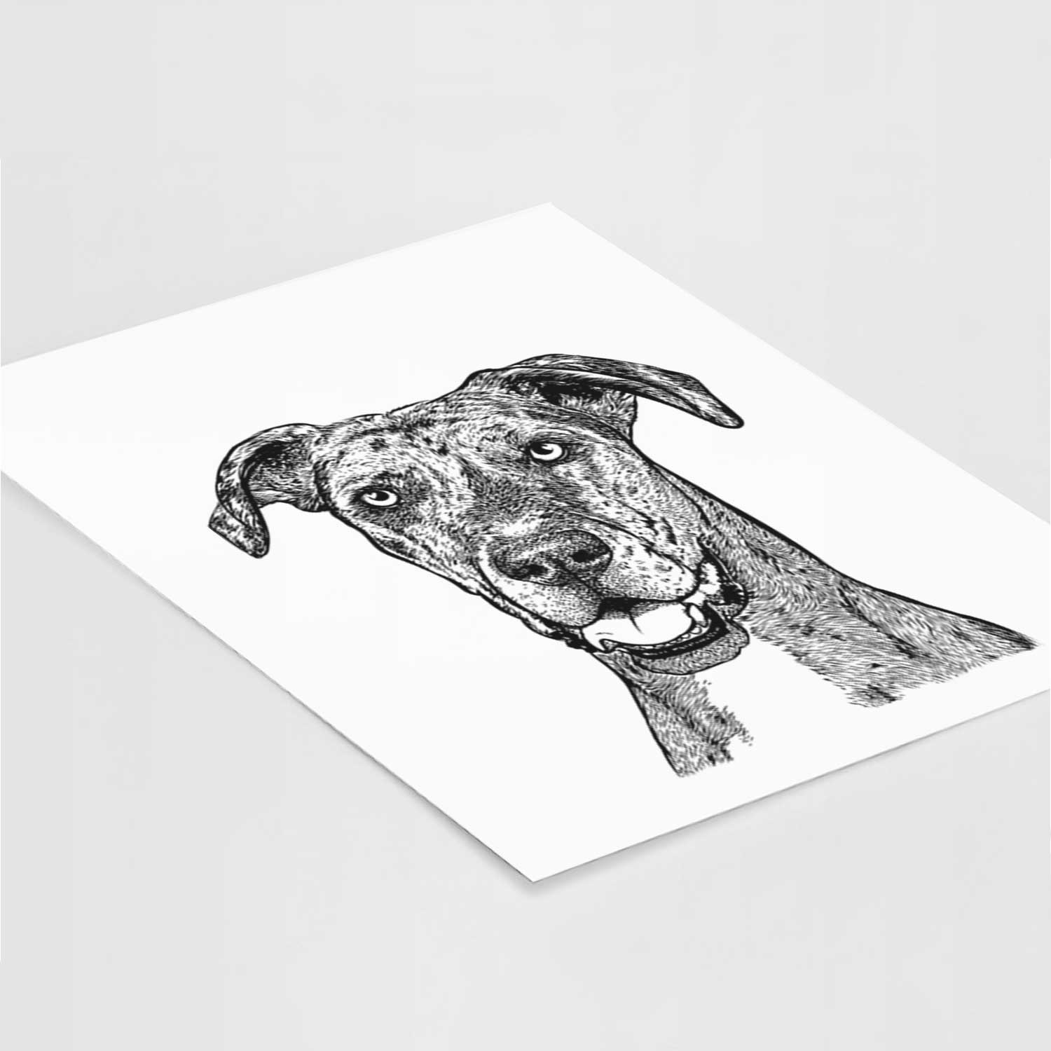 Athena the Merle Great Dane Art Print