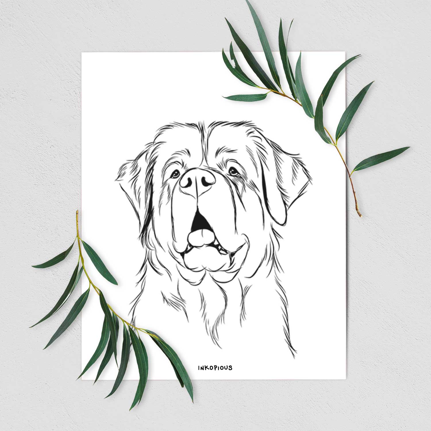 Atlas the Saint Bernard Art Print