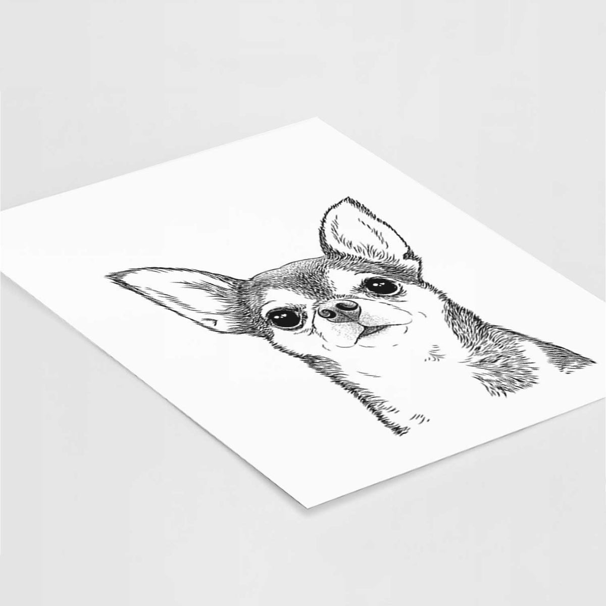 Baby the Chihuahua Art Print