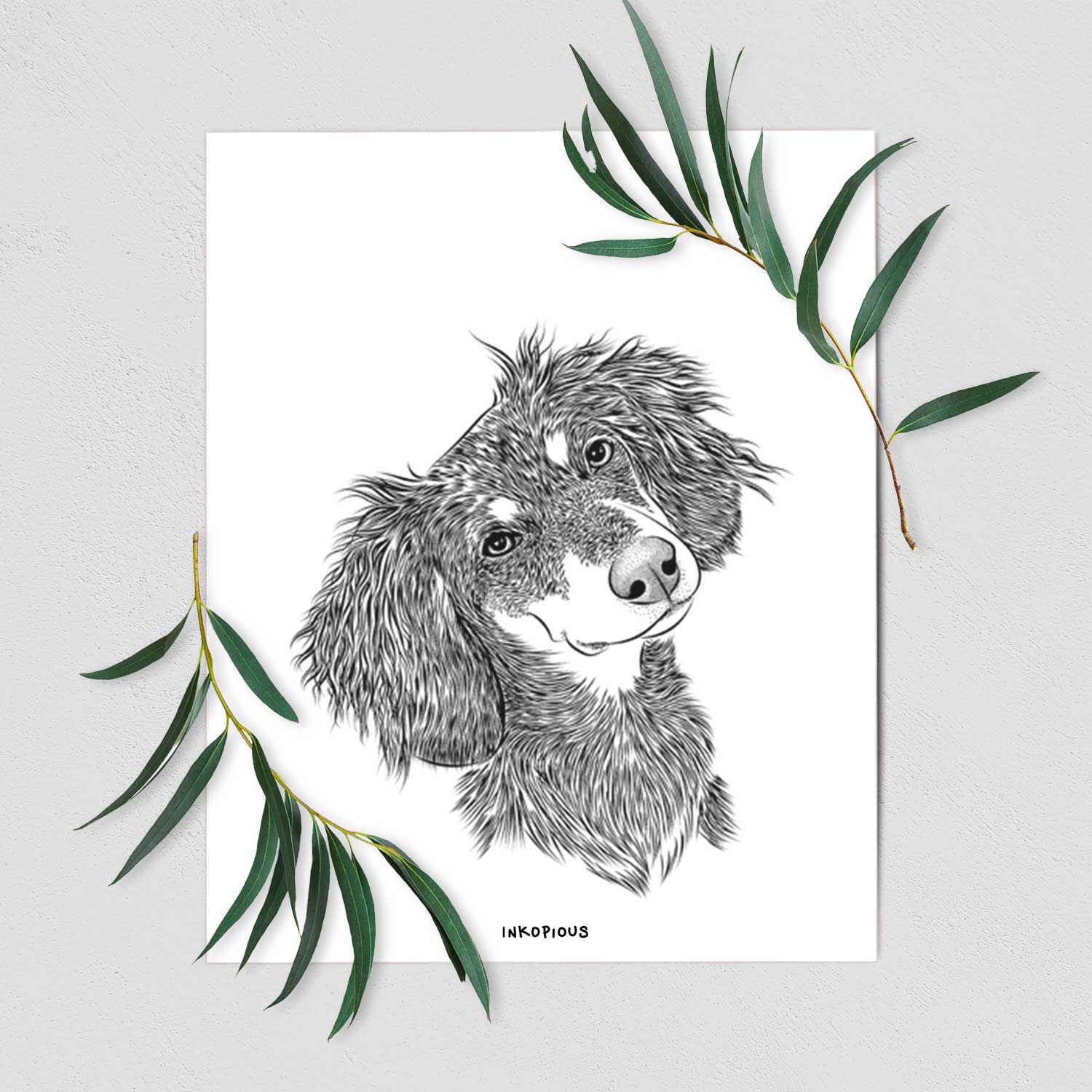 Bailey the Long Haired Dachshund Art Print