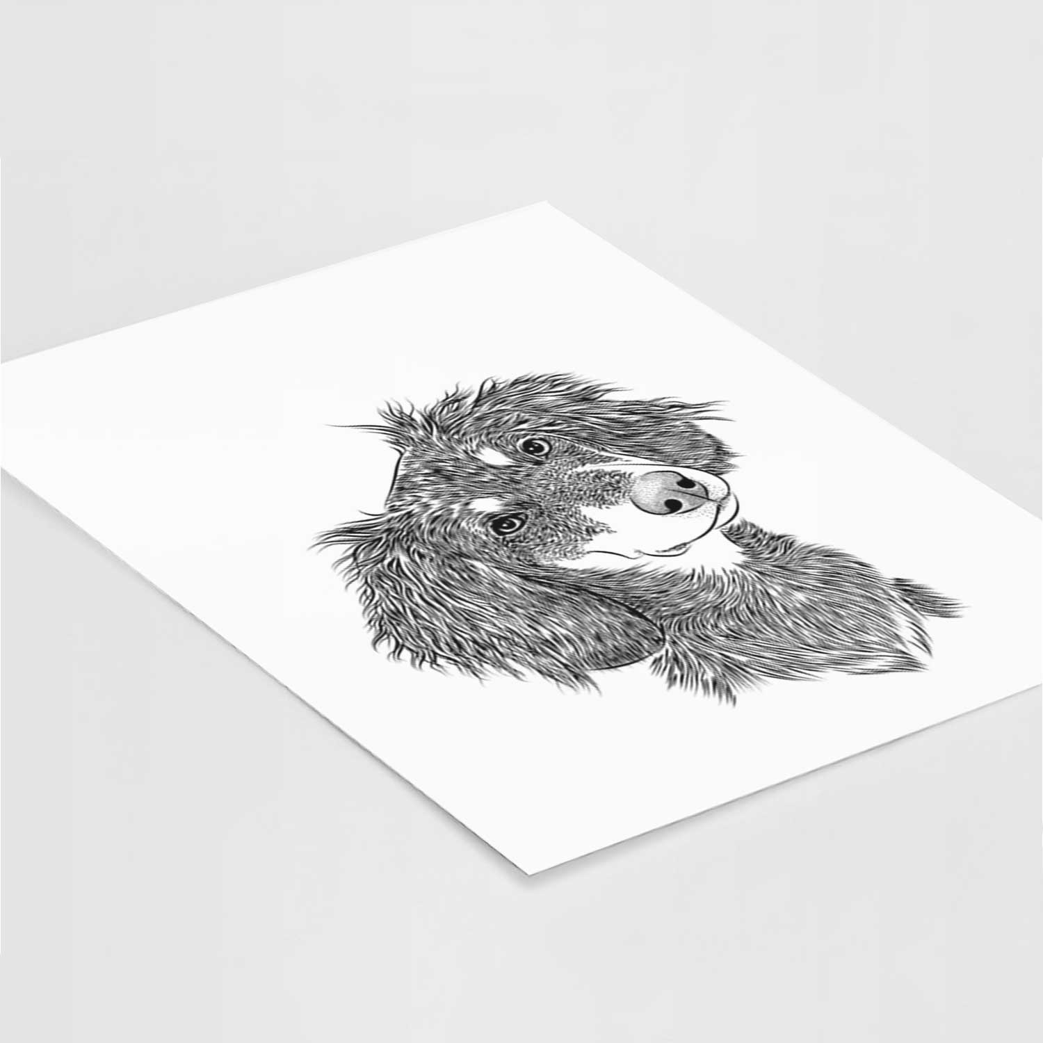 Bailey the Long Haired Dachshund Art Print